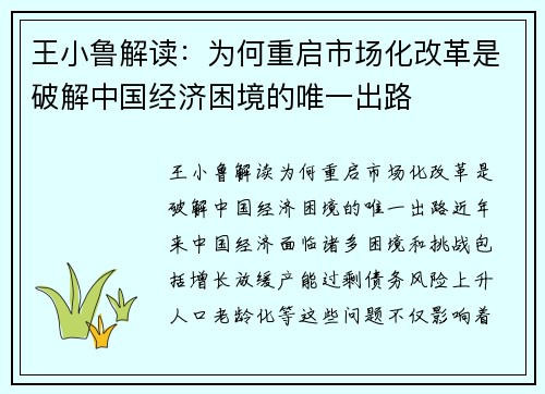 王小鲁解读：为何重启市场化改革是破解中国经济困境的唯一出路