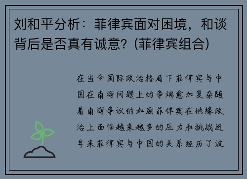 刘和平分析：菲律宾面对困境，和谈背后是否真有诚意？(菲律宾组合)